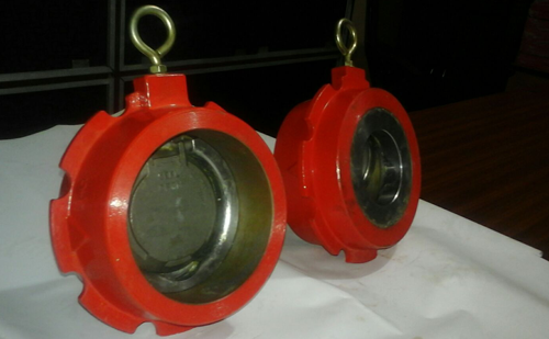 Check Valves